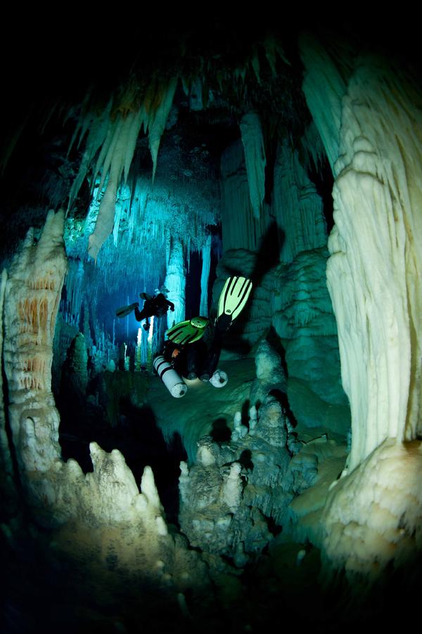 Massive columns in Fangorn Forest, Dan's Cave, Abaco Island. Photo by Brian Kakuk